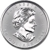 1 Uncja Liść Klonowy Platynowa Moneta | Mieszane Roczniki