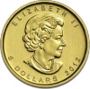 1/10 Uncji Liść Klonowy Złota Moneta | Mieszane Roczniki