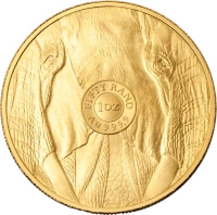 1 oz Wielka Piątka Afryki Słoń Złota Moneta | 2025