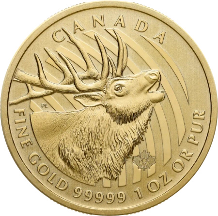 1 Uncja Zew Natury Jeleń .99999 Złota Moneta | 2017