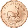 1/2 oz Krugerrand Złota Moneta | 2025