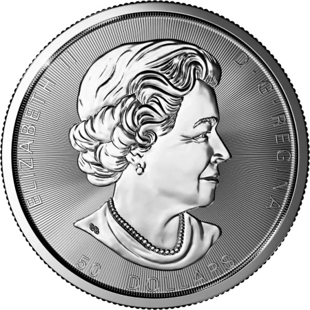 10 Uncji Wystawny Liść Klonowy Srebrna Moneta | Mieszane Roczniki