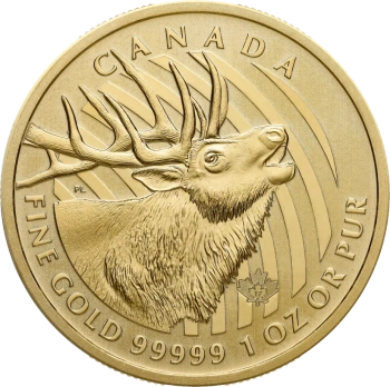 1 Uncja Zew Natury Jeleń .99999 Złota Moneta | 2017